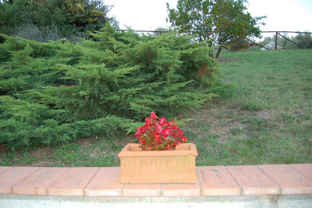 La Casetta Di Barbara Impruneta Room photo